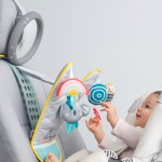 Jucarie auto cu oglinda retrovizoare Koala Taf Toys