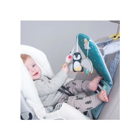 Jucarie auto Polul Nord Taf Toys